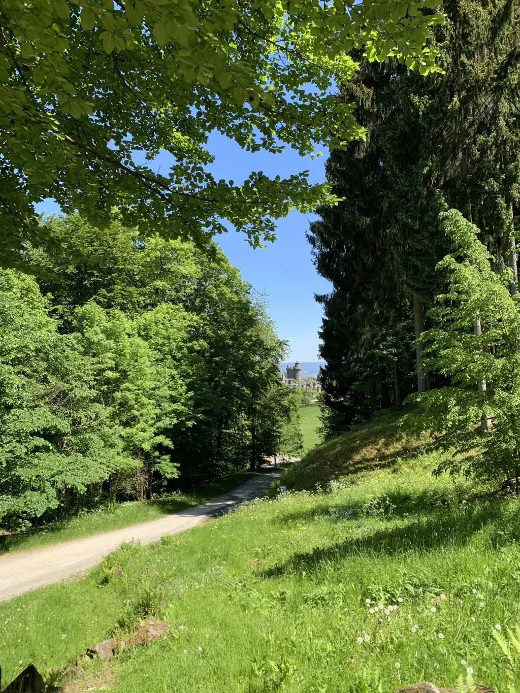 Sommer